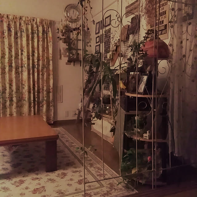 部屋全体のインテリア実例 - 2017-10-05 23:59:15