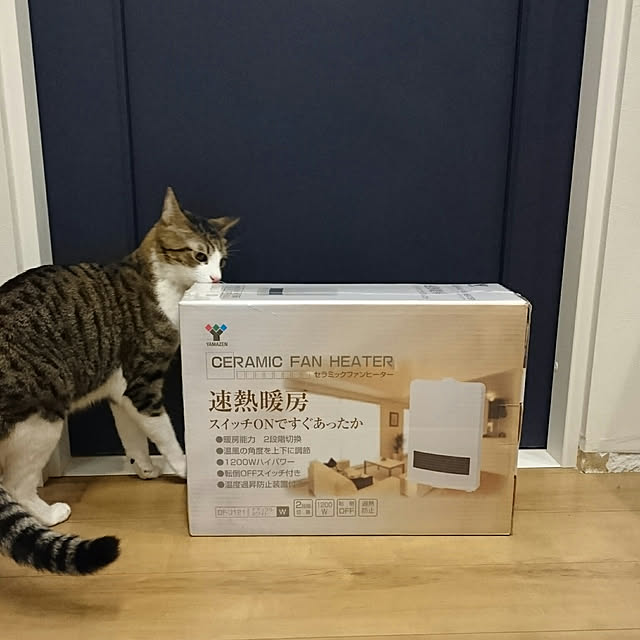 shiiiさんの実例写真