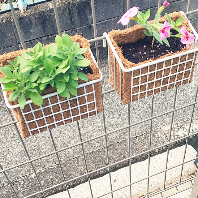 violetさんの実例写真