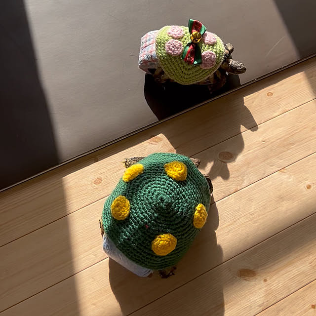 nee_roomさんの部屋