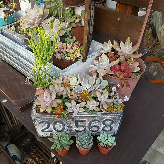 実例写真