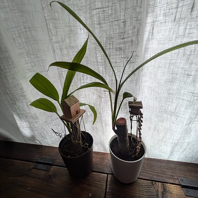 mori_6_12さんの部屋