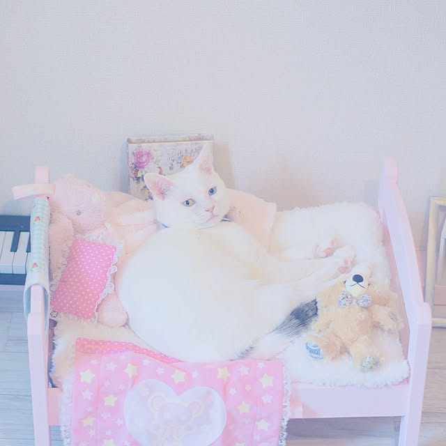 momoさんの実例写真