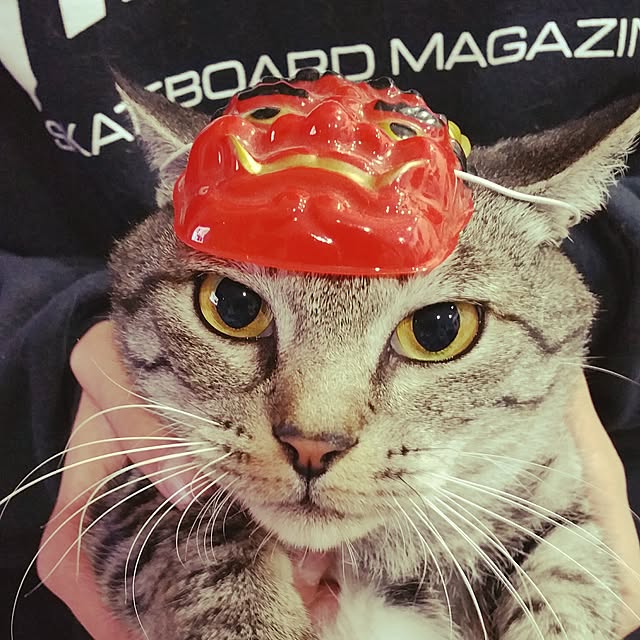 mamitasuさんの実例写真