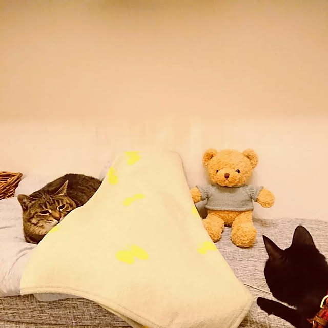 ruuさんの実例写真