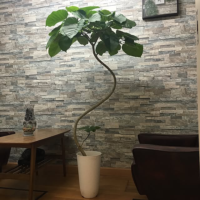 kranz9250さんの実例写真