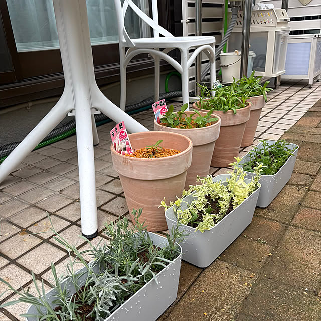 momocchiさんの部屋