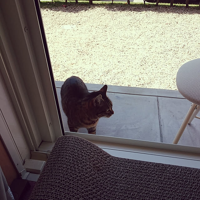 lilyさんの実例写真