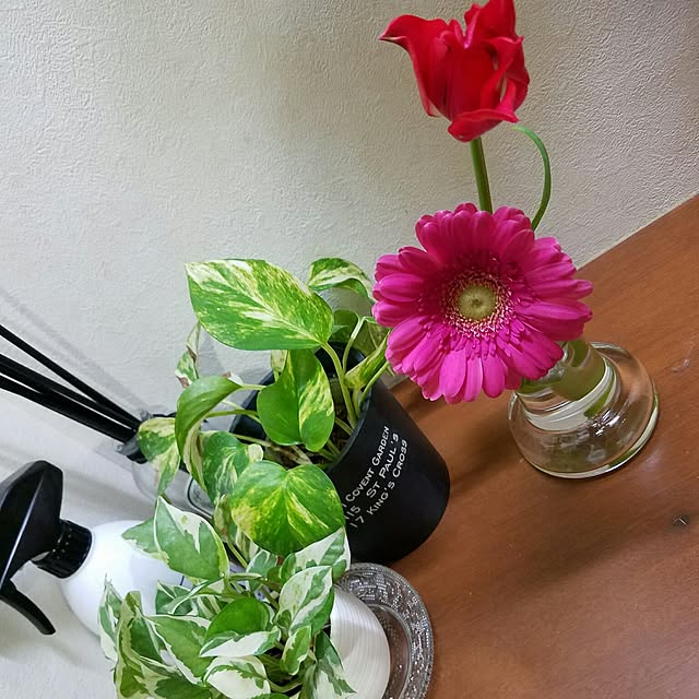 acoさんの実例写真