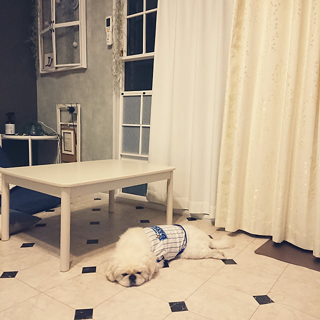 yukagomaさんの実例写真