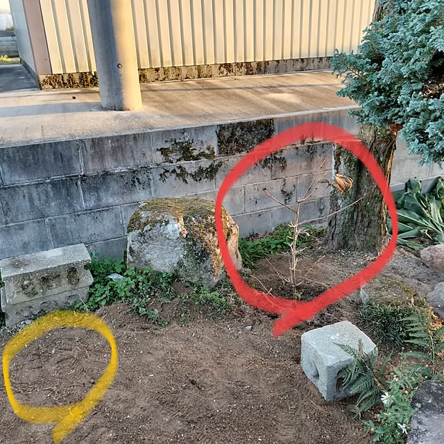 sumimarumiさんの部屋