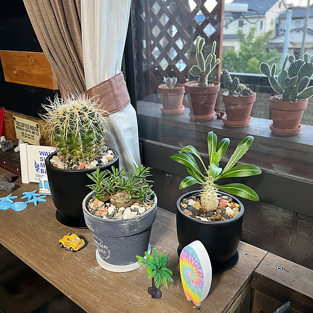 hiro29さんの部屋