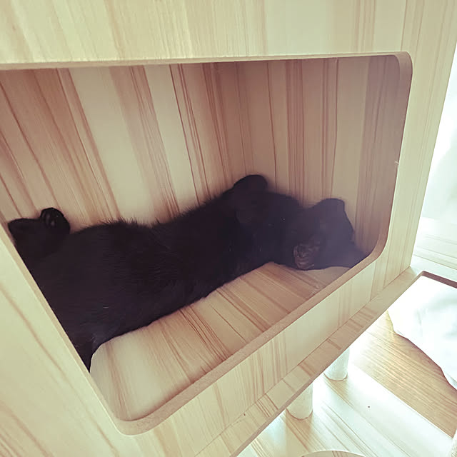 junさんの部屋