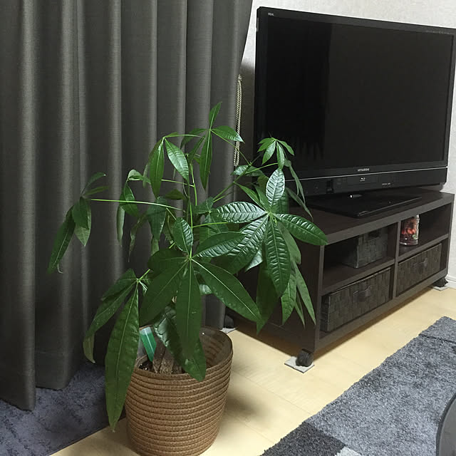 ROSEさんの実例写真