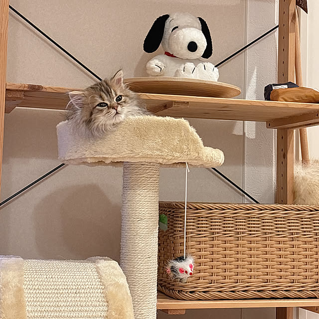 miyu39さんの部屋