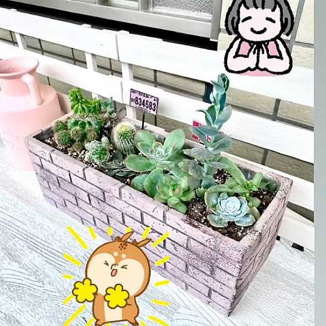 YuuKoさんの実例写真