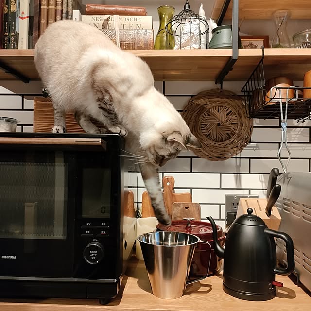 Atelier_tamakiさんの実例写真