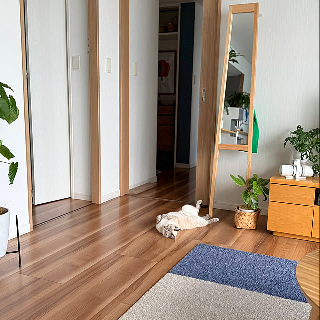 amさんの実例写真
