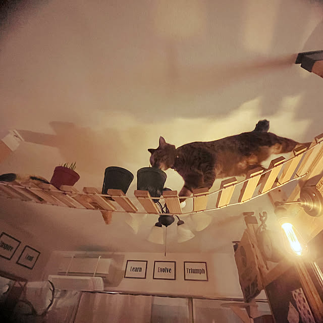 Mさんの実例写真