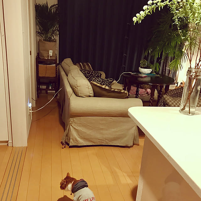 yurincaさんの実例写真