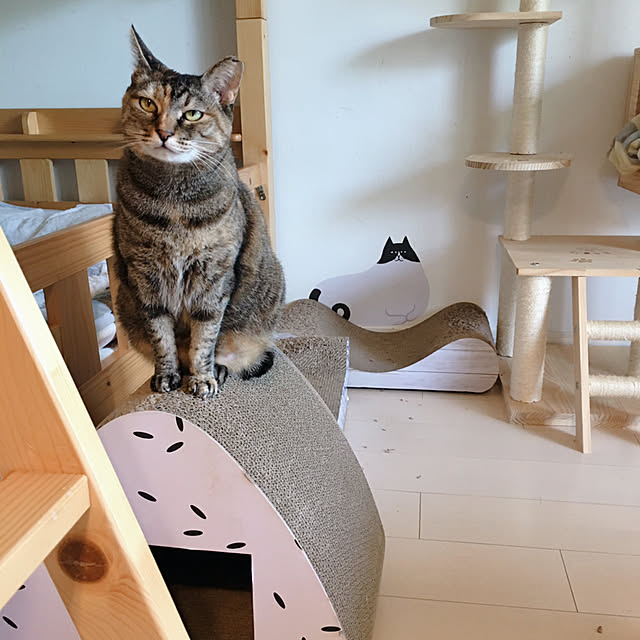 oasisさんの部屋