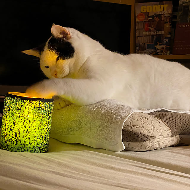 ptarouさんの実例写真