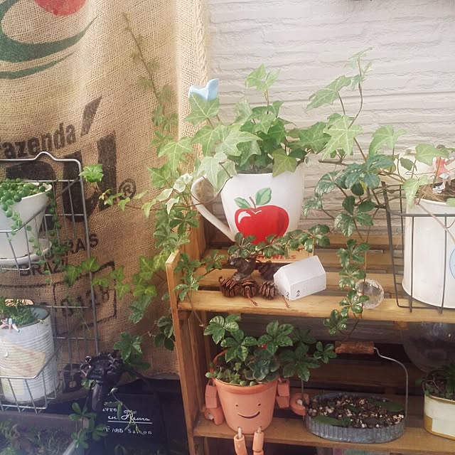 kanaさんの実例写真