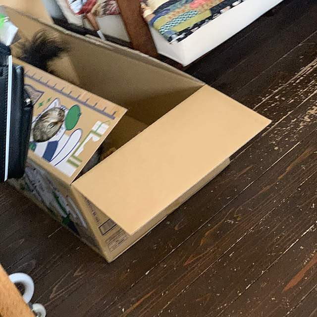 masakoさんの部屋