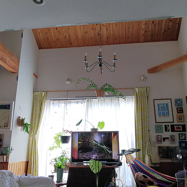 katsukoarles728さんの実例写真