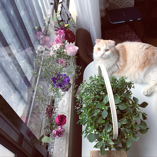 mofuchiさんの実例写真