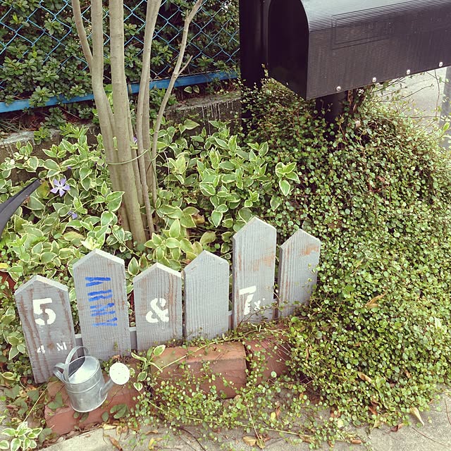 mamiさんの実例写真