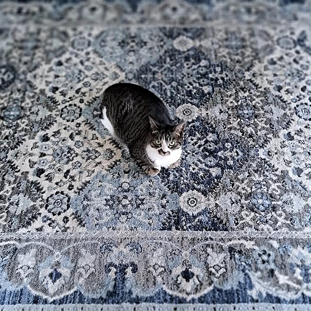 shinoさんの部屋
