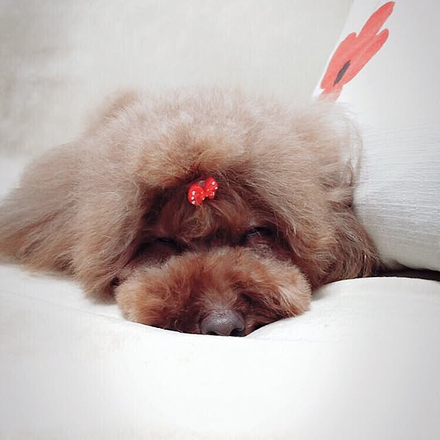 yulyさんの実例写真