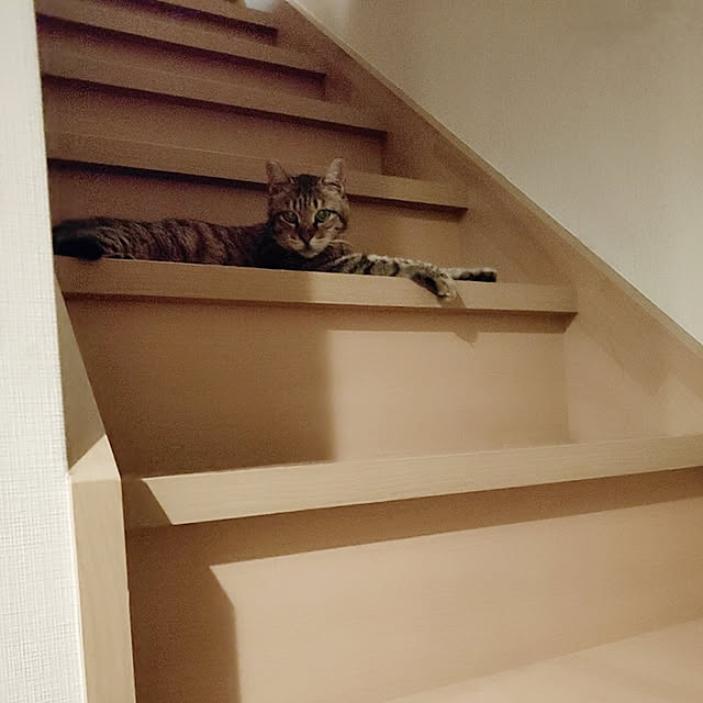 kirakirahikaruさんの実例写真