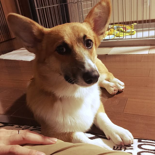 Emiさんの実例写真