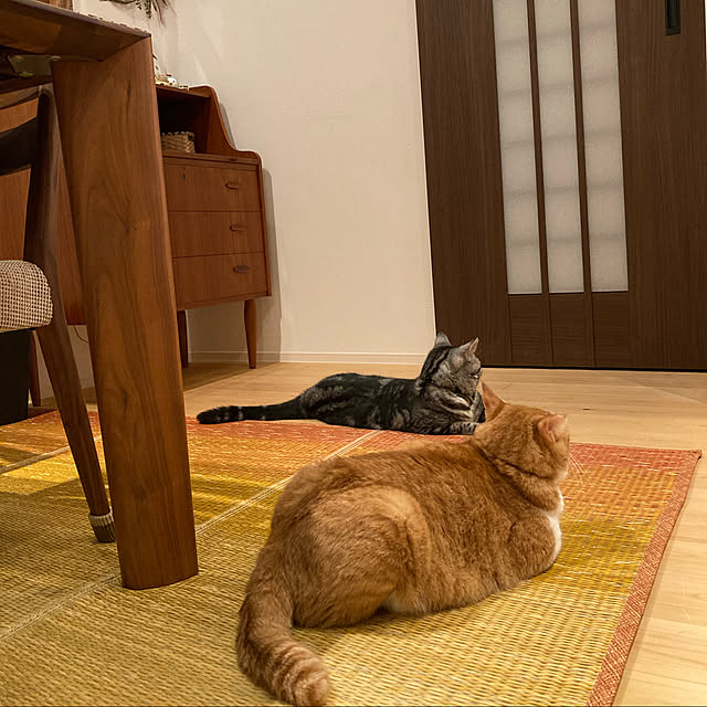 mkmkmoominさんの実例写真