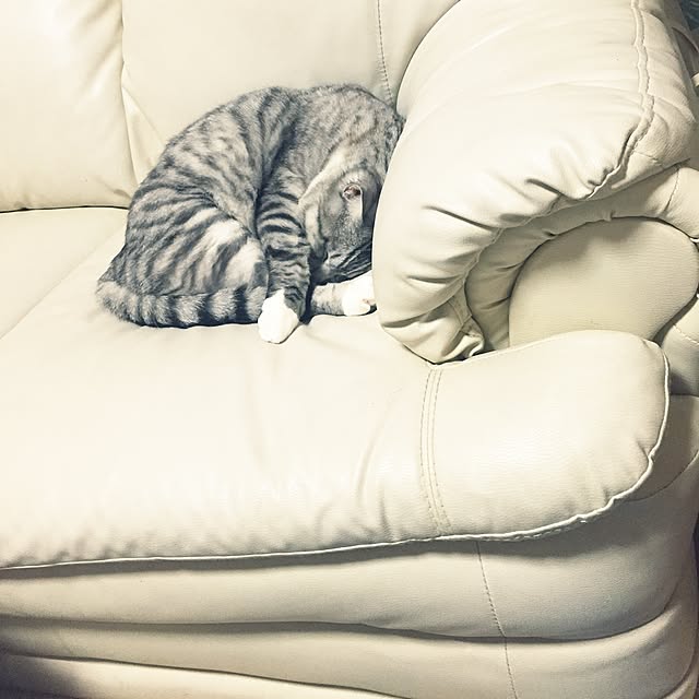 Manamiさんの実例写真