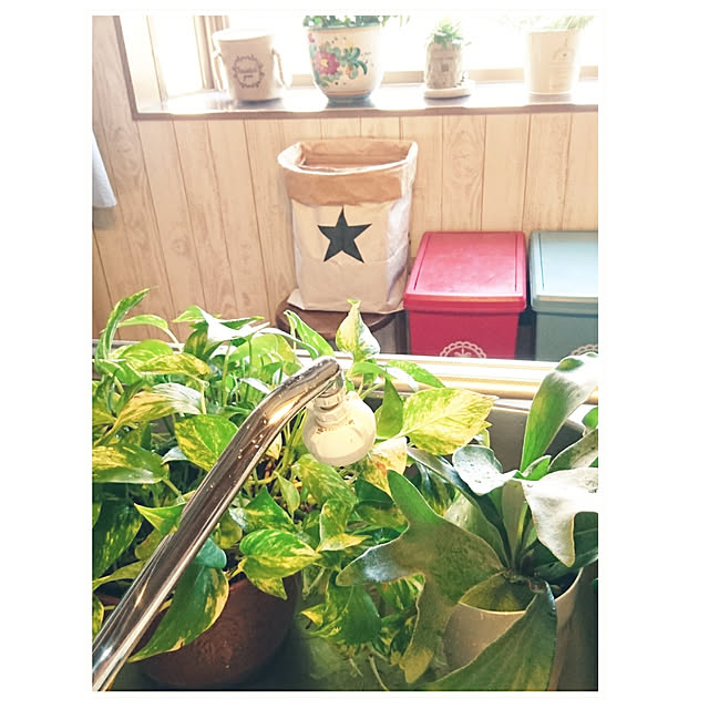 MARONさんの実例写真