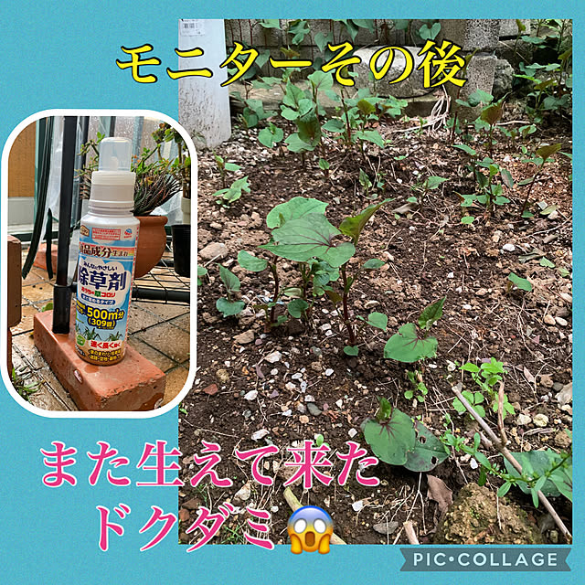 Aqettyさんの実例写真
