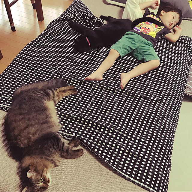 yuki0511さんの実例写真