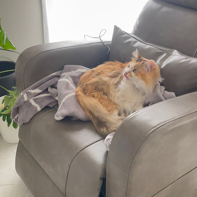 mya___kさんの実例写真