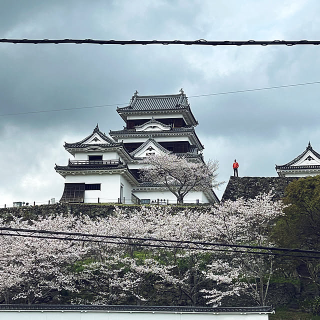 実例写真
