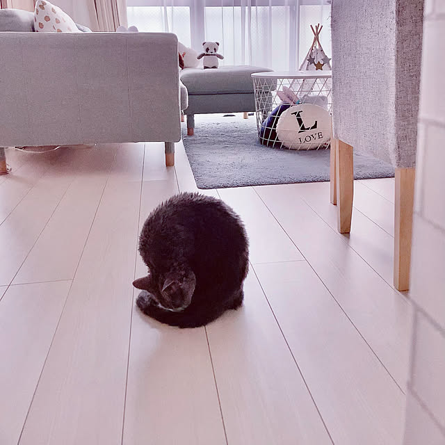 snoopyさんの実例写真