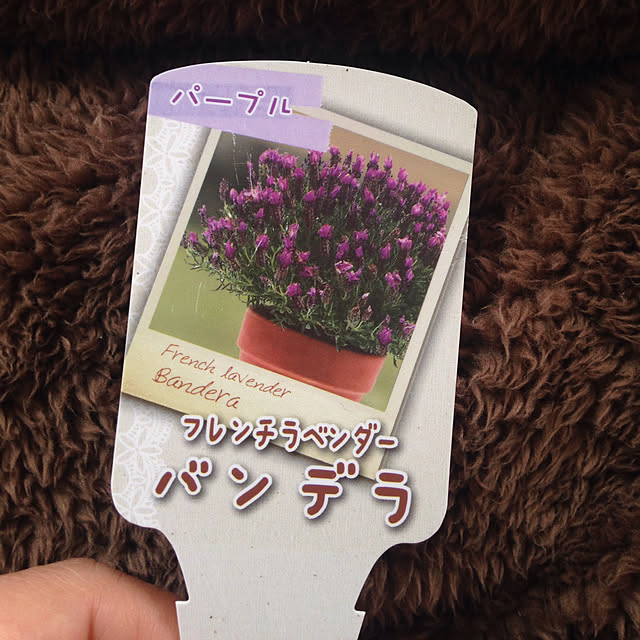 Akikoさんの実例写真