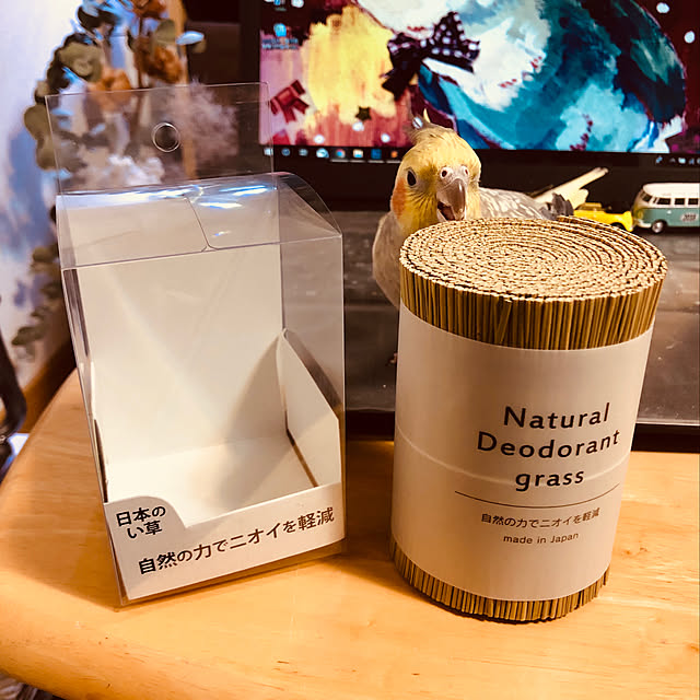 parrotさんの実例写真