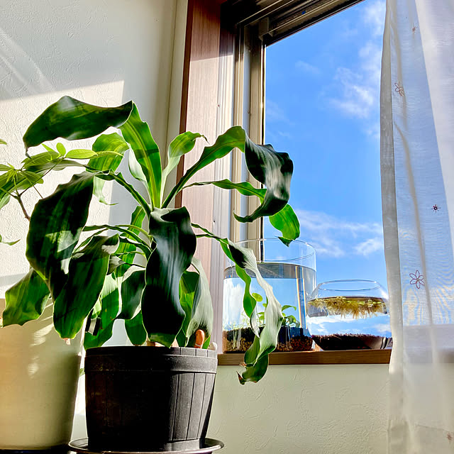 Ake.Aさんの実例写真