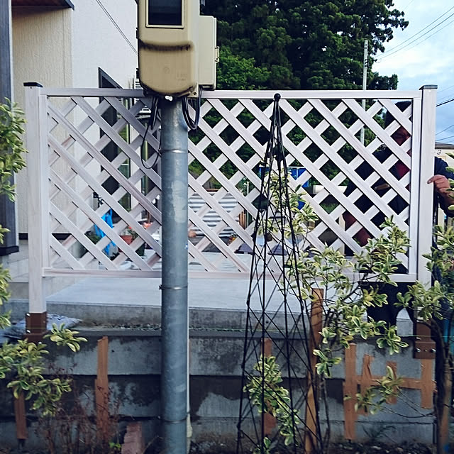 shorinさんの実例写真