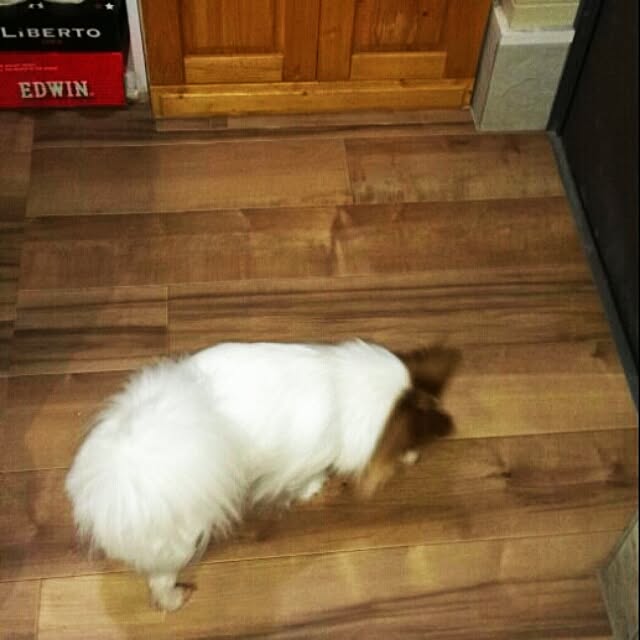 milkさんの実例写真
