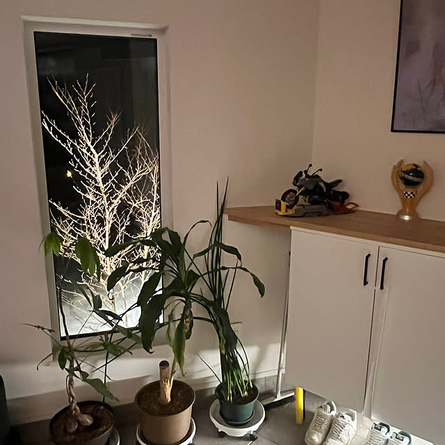 reosukeさんの部屋