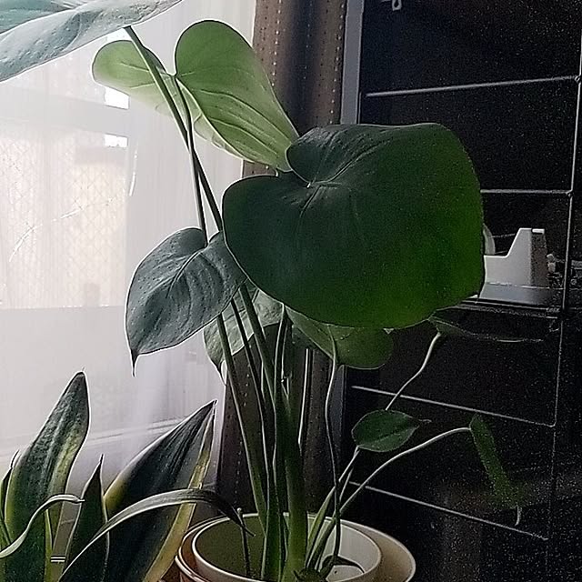yukatan06300406さんの実例写真